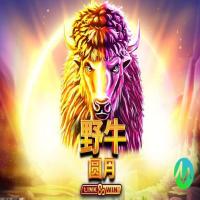 游戏运营能力强